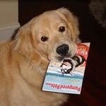 Kathy Hauser - @khauser212 - Instagram