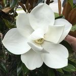 Kathy Hawkinson - @mom2u2bz - Instagram