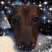 Kathy Hedstrom - Facebook