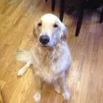Kathy Hellman - @hellmanmk - Instagram