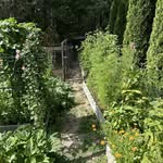 Kathy Hellman - @pinestreetfarmtotable - Instagram