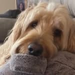 Kathy Hellman Stanton - @katstanton111 - Instagram