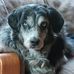 Kathy Hendren - Facebook