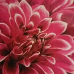 Kathy Henkel - @henkelkathy302 - Instagram