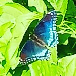 Kathy henning - @xxkatxx200877_20 - Instagram
