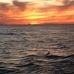 Kathy Stachowiak Herod - Facebook