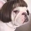 kathyhiers - @kat197752 - TikTok