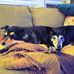 Kathy Hitt - Facebook