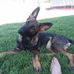 KathyFord Hyatt - Facebook