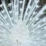 Kathy Hodson - @kathy.hodson.5 - Instagram