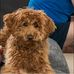 Kathy Hodson - Facebook