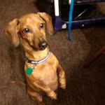 Kathy Hoff Hinkel - @hoffhinkel - Instagram