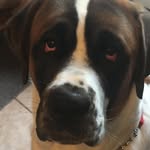 Kathy Hoffman Beck - @kathyhoffmanbeck - Instagram