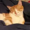 Kathy HoffmanMercer - @kathyhoffmanmerce - TikTok