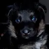 Kathy Chiodo Holbert - @kcchiodo - TikTok