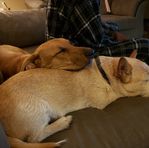 Kathy Holliday - Facebook