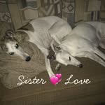 Kathy Holliday Heming - @kathyhollidayheming - Instagram