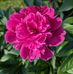 Kathy Holz - Facebook