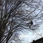 Kathy Holzer - @holzerkathy - Instagram