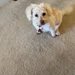 Kathy Holzman - @kathyholzman - Instagram