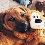 Kathy Schlote Holzberger - @kathyschloteholzberger - Instagram