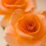 Kathy Horner - @kathy.horner.7547 - Instagram