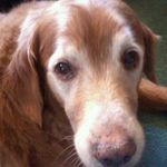 Kathy Hoyle - @kullkat10 - Instagram