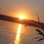 Kathy Hulett - @kathy.hulett.501 - Instagram