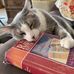 Kathy Hunley - Facebook