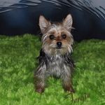 Kathy Hupp - @kathyhupp - Instagram