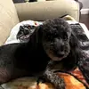 Kathy Hurd - @kathy.hurd - TikTok