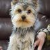 Kathy Huskey - Facebook