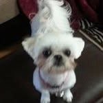 Kathy Huskey - @huskeykathy.kh - Instagram