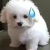 kathy7_ - @kathyyice - TikTok