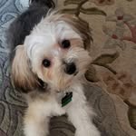 Kathy Inman - @inman255 - Instagram