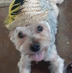 Kathy Inman - Facebook