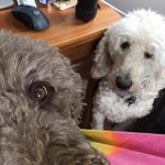 Kathy Fiataruolo Irvine - @k2irvine - Instagram