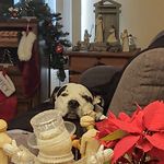 Kathy Irvine Clemans - @kathyclemans - Instagram