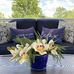 Kathy Jackowski Allen - Facebook