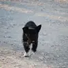 Kathie Jarman - @kathie.jarman4 - TikTok