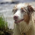 Kathy Jarman Foxwell - @kathyfoxwell - Instagram