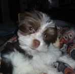 Kathy Jaynes - Facebook