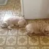 Kathy Jessee - @kathy.jessee - TikTok