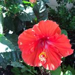 Kathy Jeter - @jeter3647 - Instagram