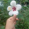 kathy jim - @kathy.jim5 - TikTok