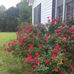 Kathy Jobe - Facebook