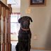 Kathy Jobe - Facebook