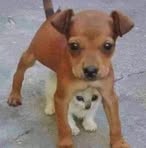Kathy Johnson - Facebook
