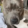 Kathy Johnson - @kathy.johnson2 - TikTok