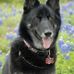 Kathy Joiner - Facebook